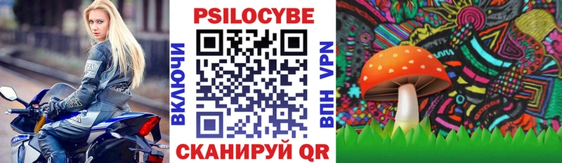 Купить закладки Судогда Галлюциногенные грибы MAGIC MUSHROOMS